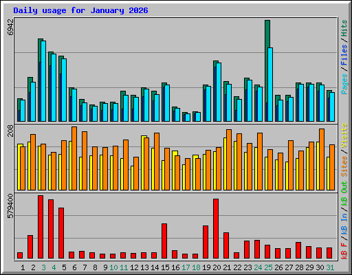 Daily usage for January 2026