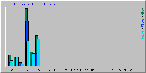 Hourly usage for July 2025