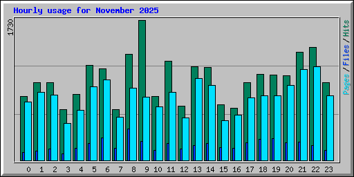 Hourly usage for November 2025